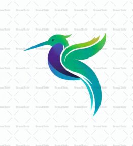 Kolibri