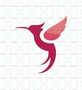 Kolibri