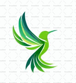 Kolibri