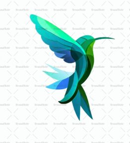 Kolibri
