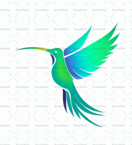 Kolibri