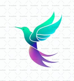Kolibri