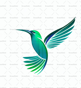 Kolibri
