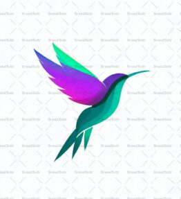 Kolibri
