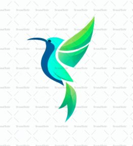 Kolibri