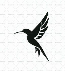 Kolibri