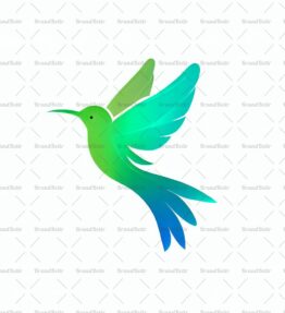 Kolibri