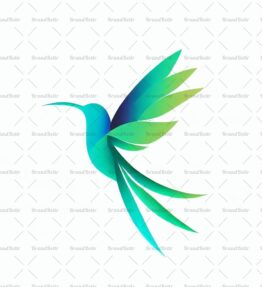 Kolibri