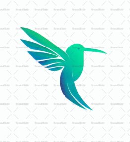 Kolibri