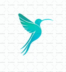 Kolibri