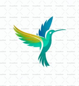 Kolibri
