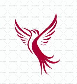 Kolibri