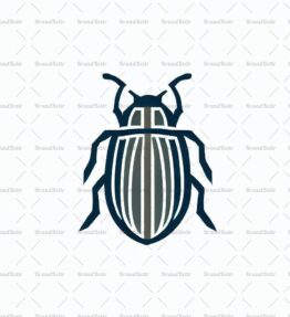 Käfer