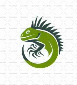 Leguan