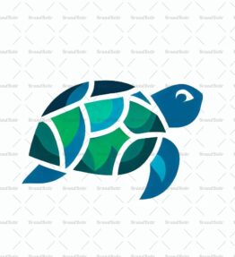 Schildkröte