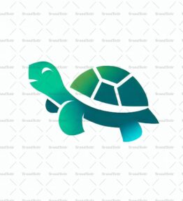Schildkröte