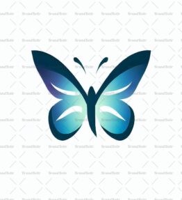 Schmetterling