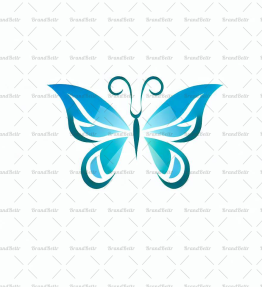 Schmetterling