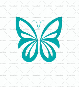 Schmetterling