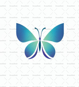 Schmetterling