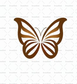 Schmetterling
