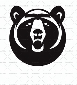 Schwarzbär