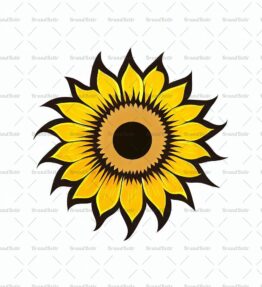 Sonnenblume