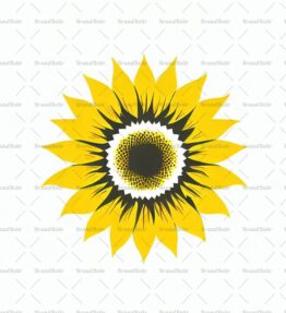 Sonnenblume