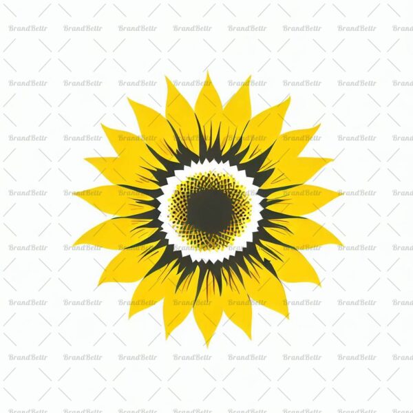 Sonnenblume