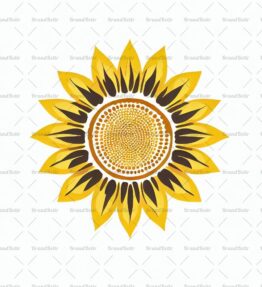 Sonnenblume