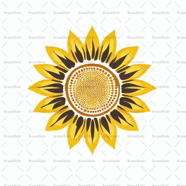 Sonnenblume