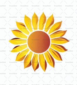 Sonnenblume