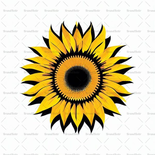 Sonnenblume