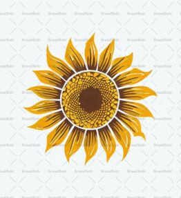 Sonnenblume