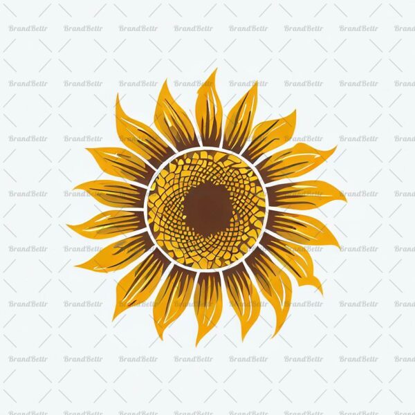 Sonnenblume