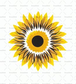 Sonnenblume