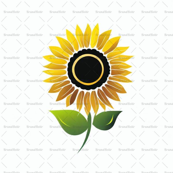 Sonnenblume