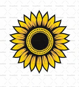 Sonnenblume