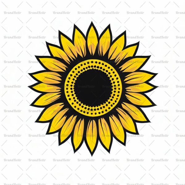 Sonnenblume