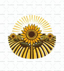 Sonnenblumenfeld
