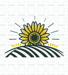Sonnenblumenfeld