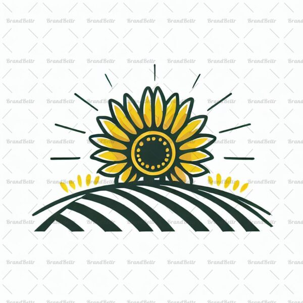 Sonnenblumenfeld