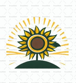 Sonnenblumenfeld