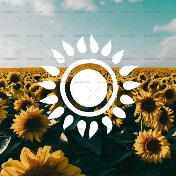 Sonnenblumenfeld