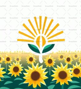 Sonnenblumenfeld