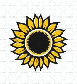 Sonnenblumenfeld