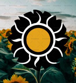 Sonnenblumenfeld
