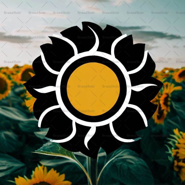Sonnenblumenfeld