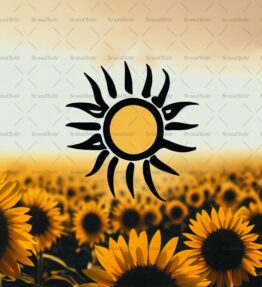 Sonnenblumenfeld