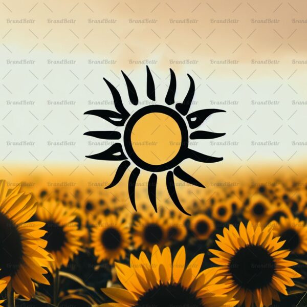 Sonnenblumenfeld